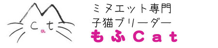子猫ブリーダーもふキャット
